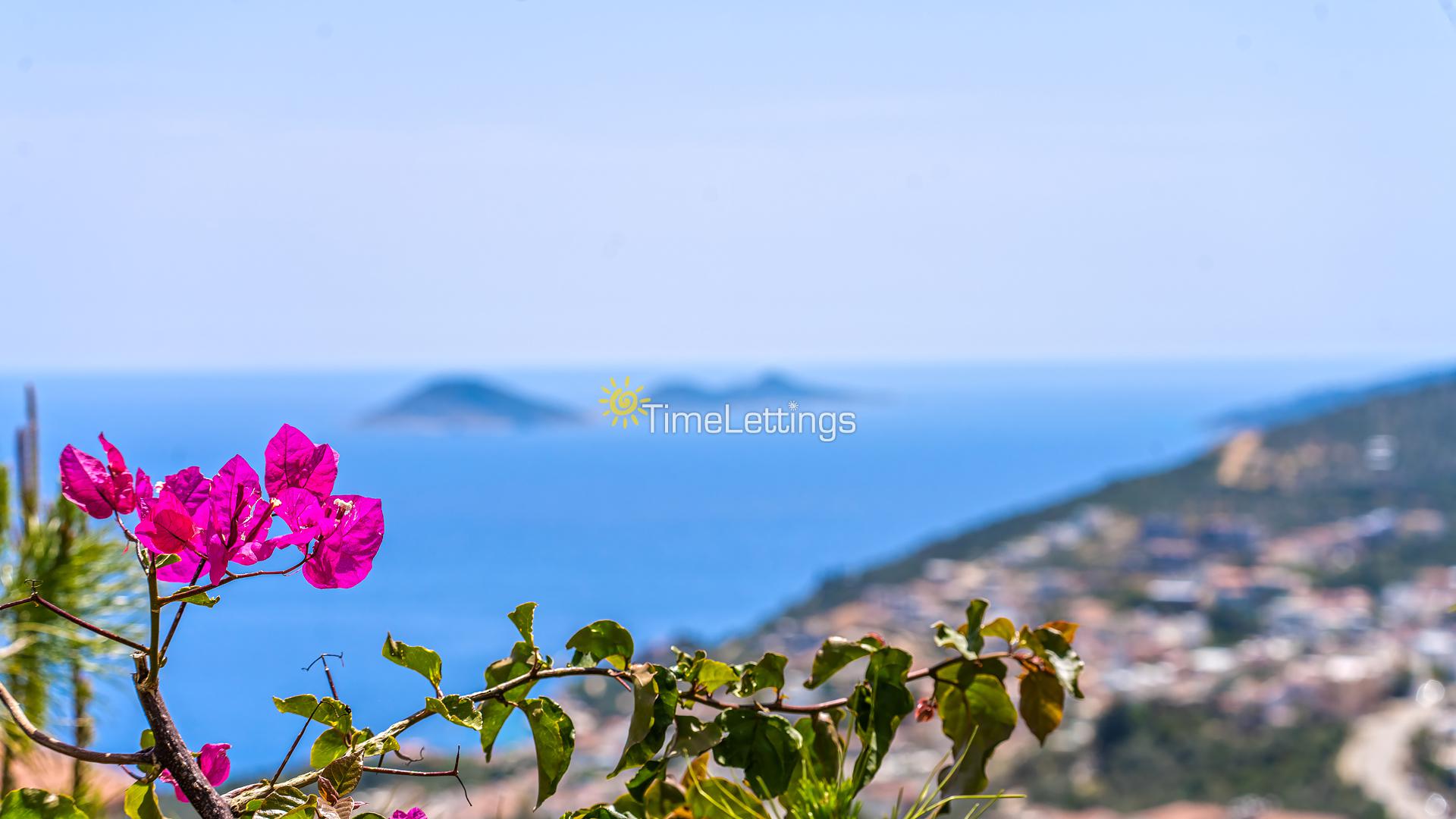 Villa-Dolce-47_670.jpg
