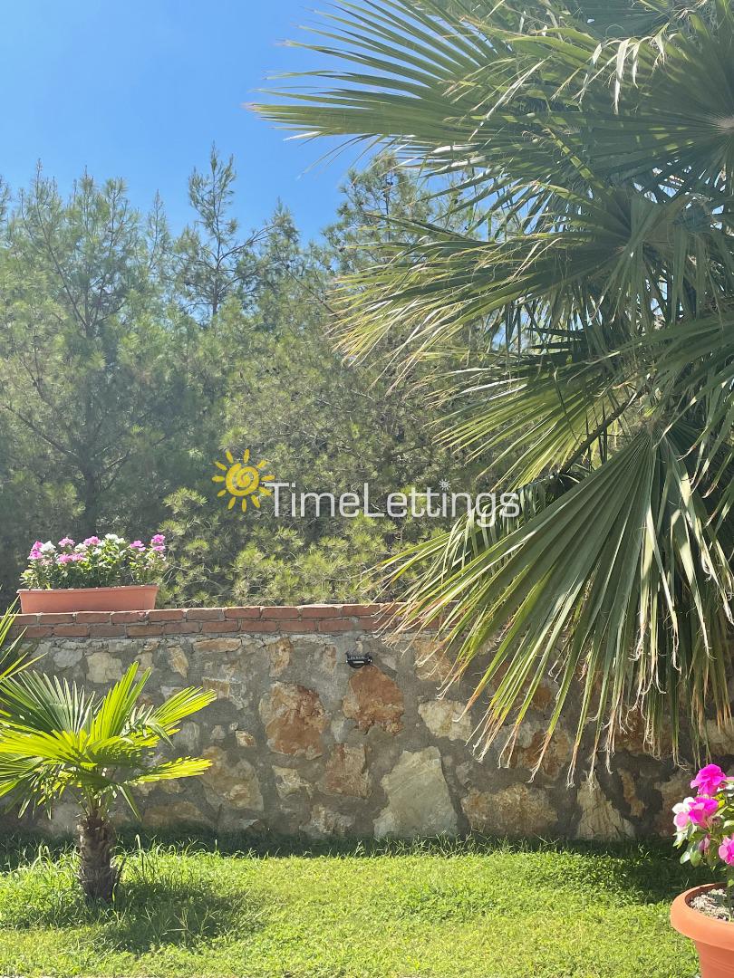 villa-arsa-3_756.jpg